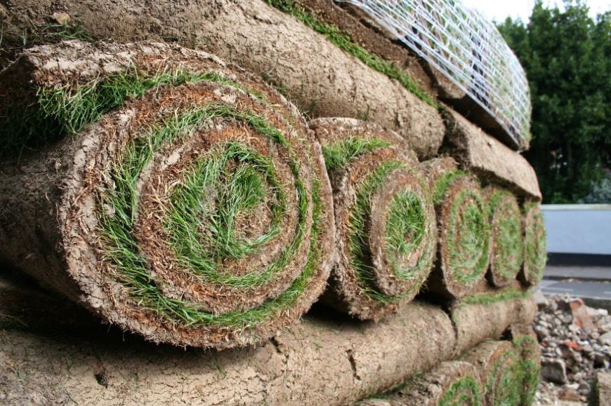 trawa z rolki idealna do zastosowania w każdym ogrodzie