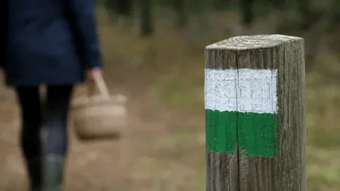 Grzybobranie w powiecie zawierciańskim. Policja ostrzega przed zagubieniem