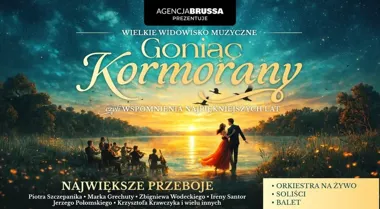Grafika promocyjna wydarzenia Goniąc Kormorany w Zawierciu – wspomnienia najpiękniejszych lat