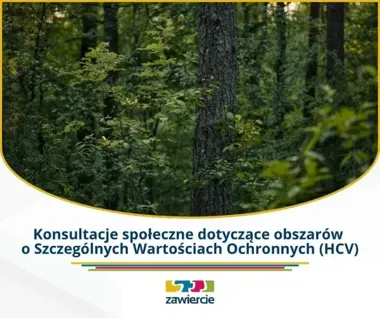Lasy wracają do konsultacji o cennych obszarach w Zawierciu i okolicy